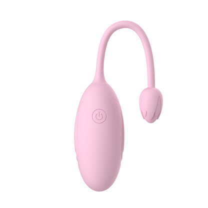 bullet vibrator